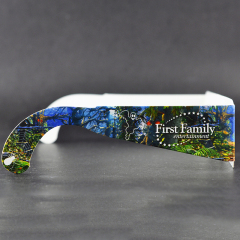 Custom Paper Linear Polarized 3D Glasses for IMAX & 3D Cinemas (Model:SNLP033)