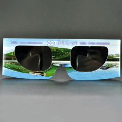 Custom Paper Linear Polarized 3D Glasses for IMAX & 3D Cinemas (Model:SNLP053)