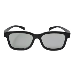 Plastic Linear Polarized 3D Glasses (Model:SNLP006P)