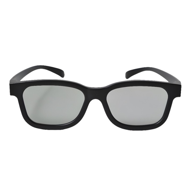 Plastic Linear Polarized 3D Glasses (Model:SNLP006P)