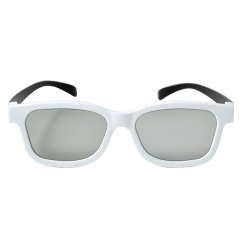 Plastic Linear Polarized 3D Glasses (Model:SNLP006P)