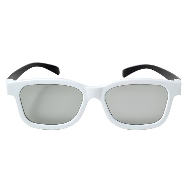 Plastic Linear Polarized 3D Glasses (Model:SNLP006P)