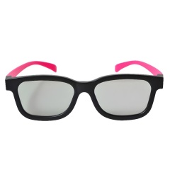 Plastic Linear Polarized 3D Glasses (Model:SNLP006P)