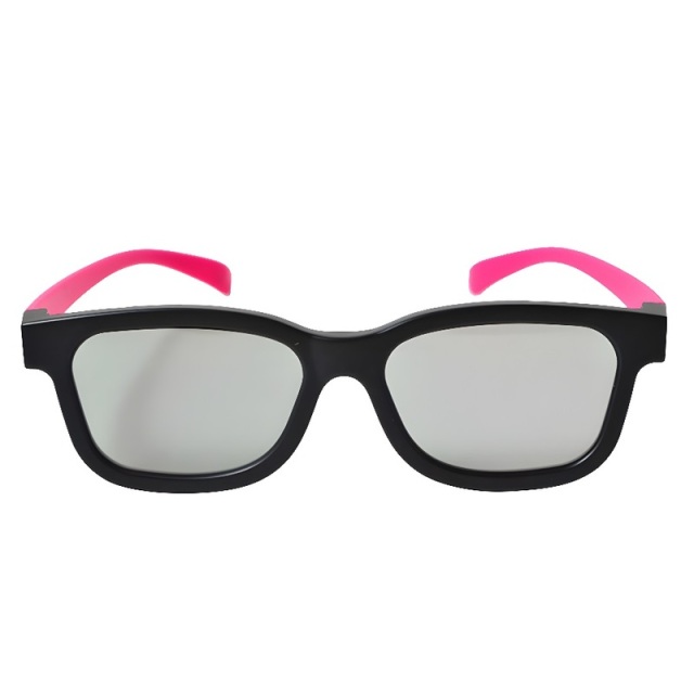 Plastic Linear Polarized 3D Glasses (Model:SNLP006P)