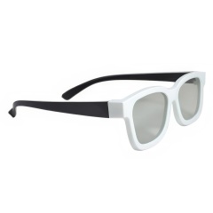Plastic Linear Polarized 3D Glasses (Model:SNLP006P)