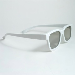 Plastic Linear Polarized 3D Glasses (Model:SNLP006P)