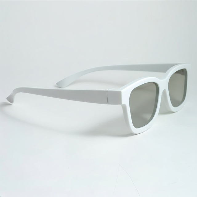 Plastic Linear Polarized 3D Glasses (Model:SNLP006P)
