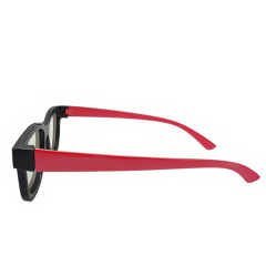 Plastic Linear Polarized 3D Glasses (Model:SNLP008P)