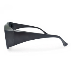 Plastic Linear Polarized 3D Glasses (Model:SNLP014P)