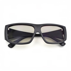Plastic Linear Polarized 3D Glasses (Model:SNLP014P)