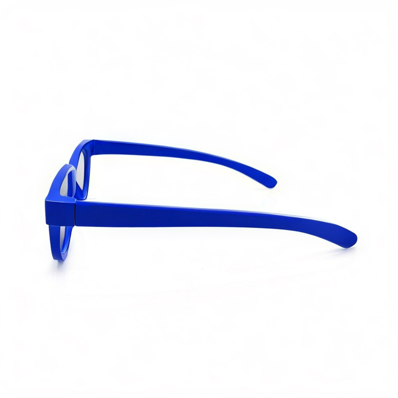 Plastic Linear Polarized 3D Glasses (Model:SNLP018P)