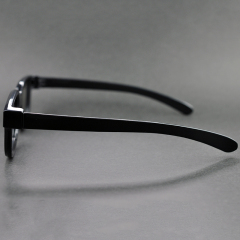 Plastic Circular Polarized 3D Glasses (Model:SNCPL001P)