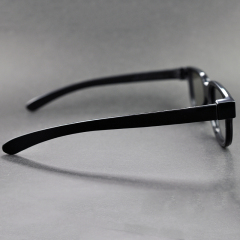 Plastic Circular Polarized 3D Glasses (Model:SNCPL001P)
