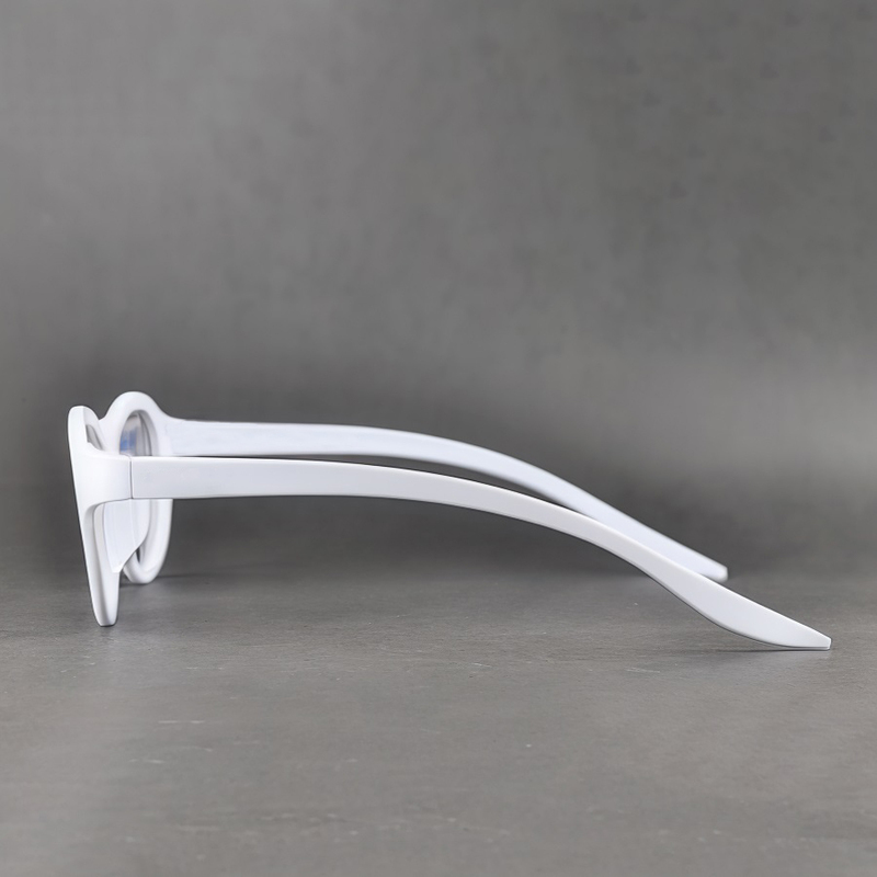 Plastic Circular Polarized 3D Glasses (Model:SNCPL003P)