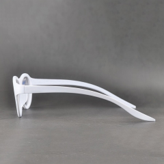 Plastic Circular Polarized 3D Glasses (Model:SNCPL003P)