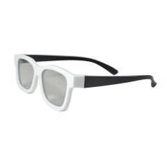 Plastic Circular Polarized 3D Glasses (Model:SNCPL020P)