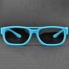 Plastic Circular Polarized 3D Glasses (Model:SNCPL023P-2)