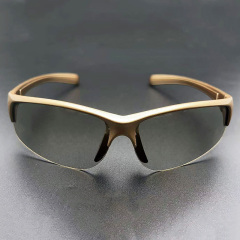 Plastic Circular Polarized 3D Glasses (Model:SNCPL098P)