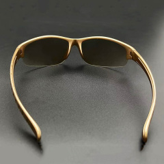 Plastic Circular Polarized 3D Glasses (Model:SNCPL098P)