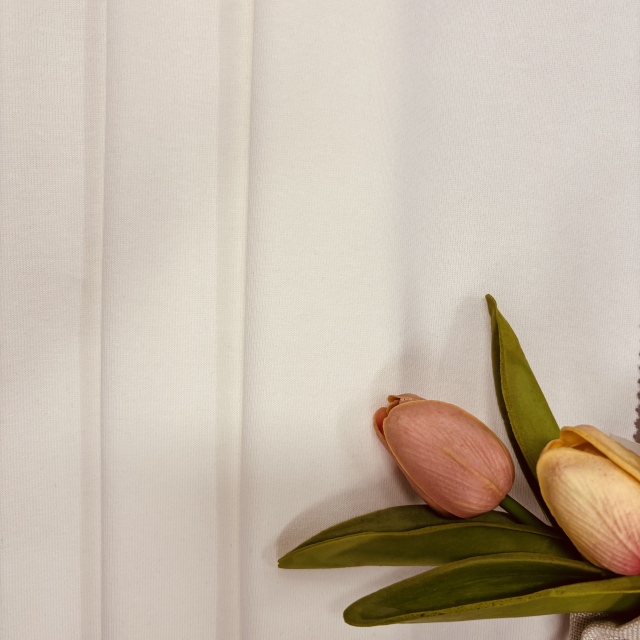 430 gsm Cotton ,Polyester,Spandex Double Bonded fabric HN243C#