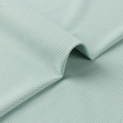 160gsm quick-dry 91%Polyamide 9%Spandex Mesh Knit CY723#