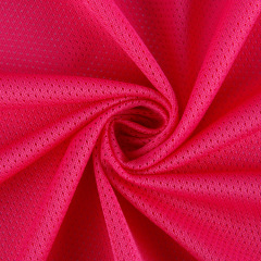 110gsm 100%Polyester Bird's Eye Fabric Library 75D#