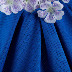 110gsm 100%Polyester Bird's Eye Fabric Library 75D#