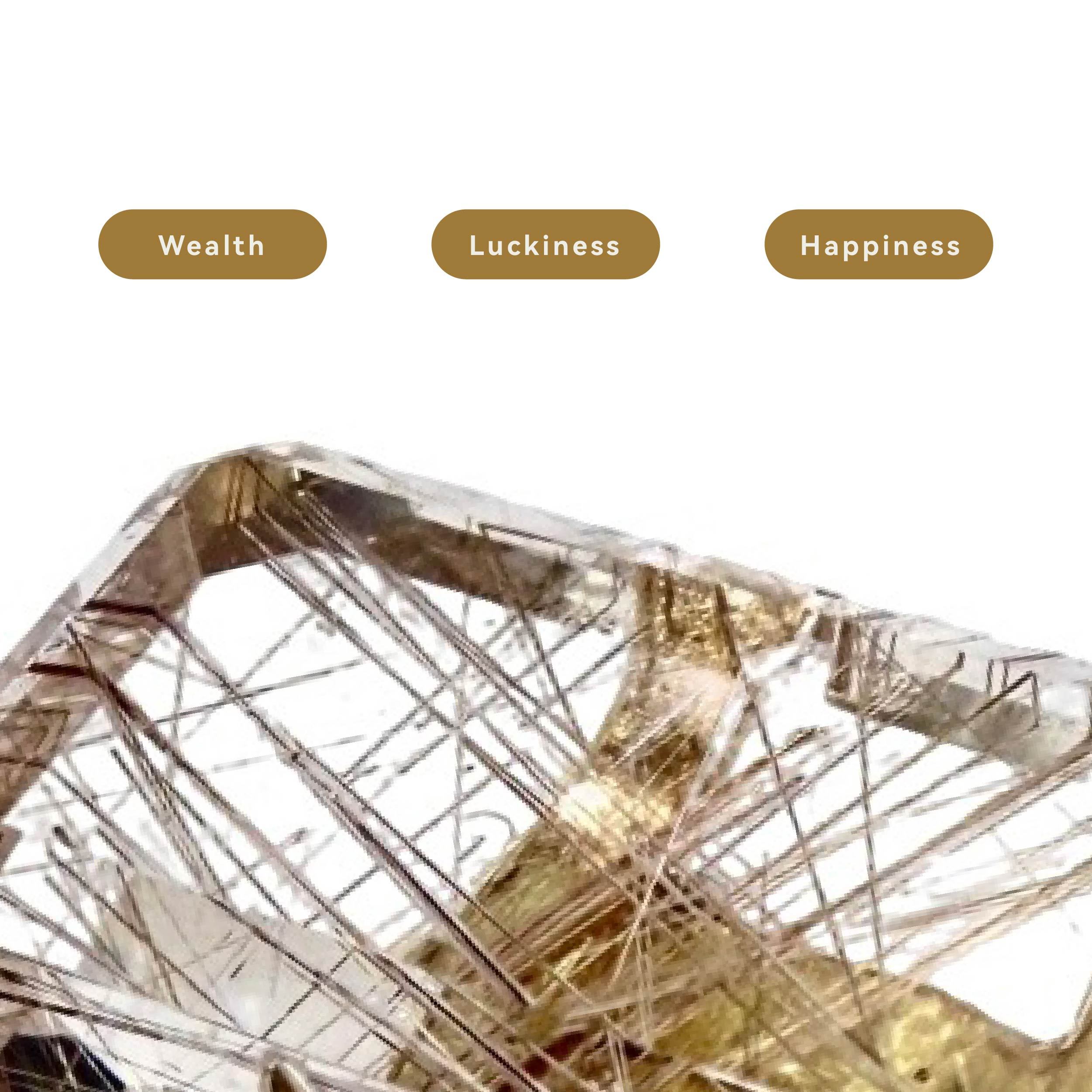 Shinecrys- Golden rutilated quartz ring