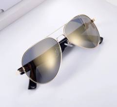 Mz01 water silver-polarized