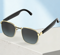 HY-1003 Golden Grey [AI Super Glasses]