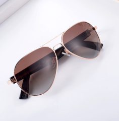 Mz01 gradually brown-polarized