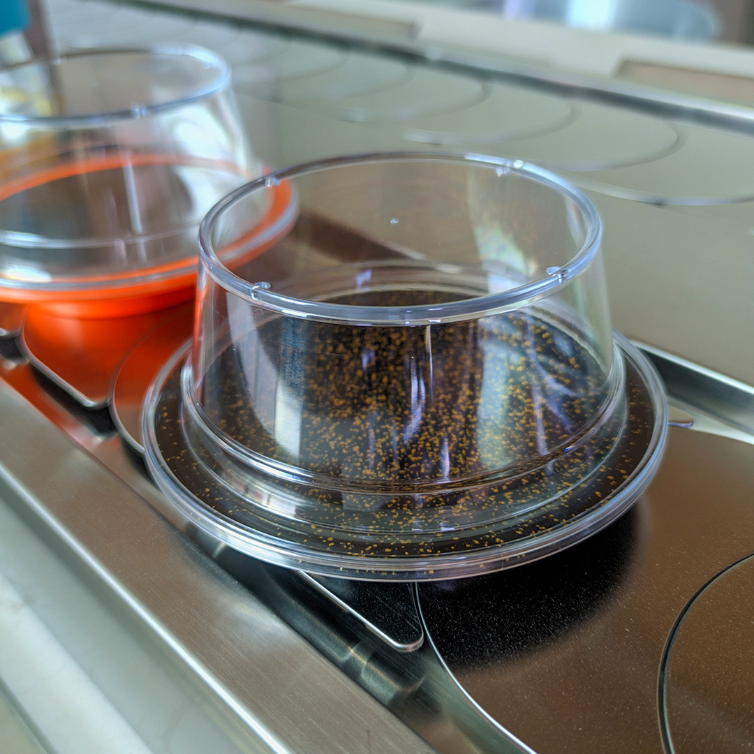 Transparent Lid