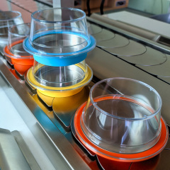 Transparent Lid
