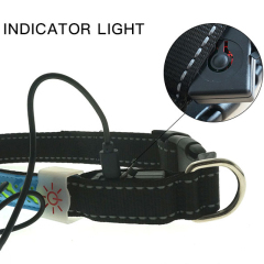 Novelty Nylon Rechargeable Adjustable Buckle Waterproof installed battery Customization Outdoor LED Dog Collar Leash Pet Light