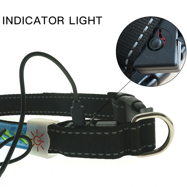 Novelty Nylon Rechargeable Adjustable Buckle Waterproof installed battery Customization Outdoor LED Dog Collar Leash Pet Light