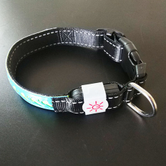 Novelty Nylon Rechargeable Adjustable Buckle Waterproof installed battery Customization Outdoor LED Dog Collar Leash Pet Light