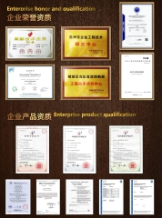 Magnetic Contactor ALQ EVQ300 300Amp DC 2P 12/24Vdc CCC CE Certified for New Energy Systems