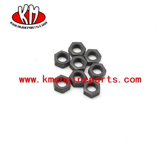 Genuine engine parts NTA855 KTA19 nut lock 3519535