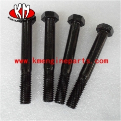 CCEC 108602 screw, hexagon head cap