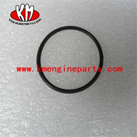 CCEC 145540 seal o ring kta19