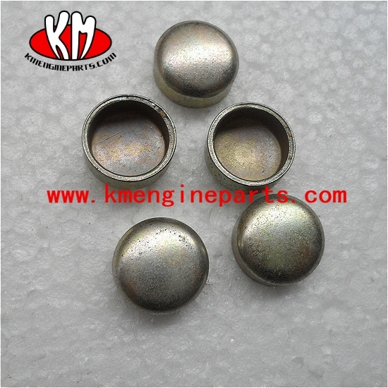 CCEC 147416 plug, expansion