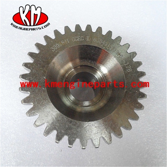 kta19 engine spare parts 3008841 sea water pump gear