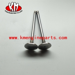 5307875 Intake Valve for 6cta8.3 6L ISC QSC