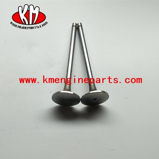 5307875 Intake Valve for 6cta8.3 6L ISC QSC