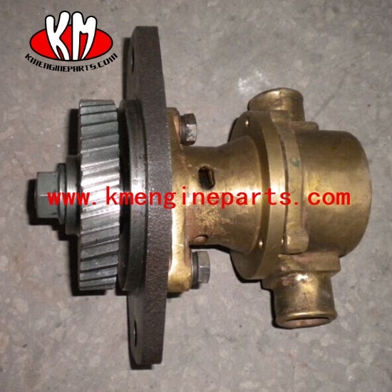 6bt5.9 4bt3.9 Sea Water Pump 3912019 3907458 engine parts for vessel