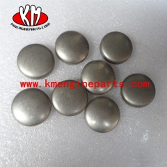 CQ Chongqing engine parts 3007634 PLUG,EXPANSION for NTA855