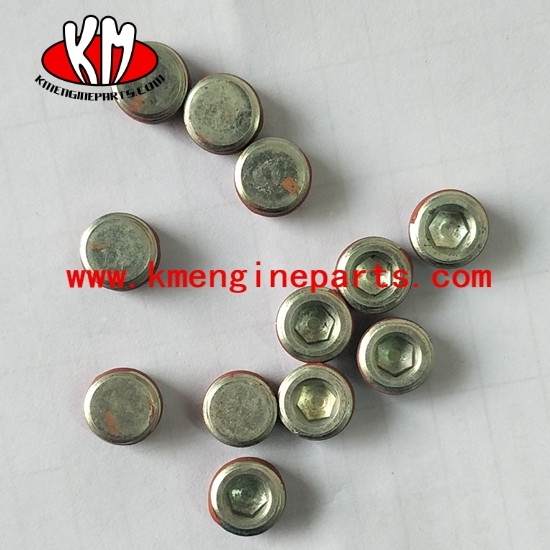 CQ Chongqing kta19 engine parts 3002158 PLUG PPE