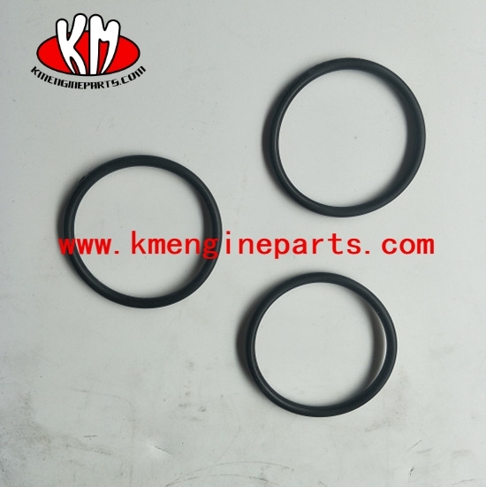 CCEC CQ chongqing NTA855 engine parts 3950667 SEAL O RING