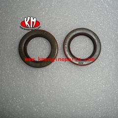 CCEC genuine spares parts KTA50 KTA38 Oil Seal 3634146 3643960