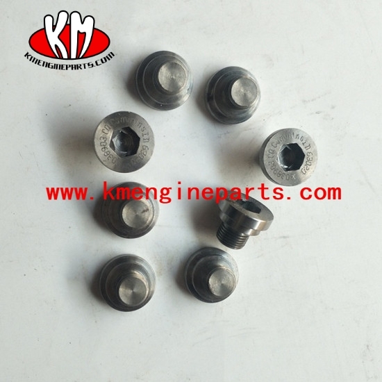PLUG,O RING chongqing cq auto engine 3038903 plug rocker lever shaft NTA855